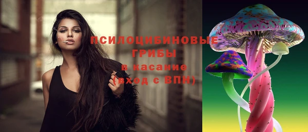 ПСИЛОЦИБИНОВЫЕ ГРИБЫ Володарск