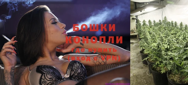 ПСИЛОЦИБИНОВЫЕ ГРИБЫ Володарск