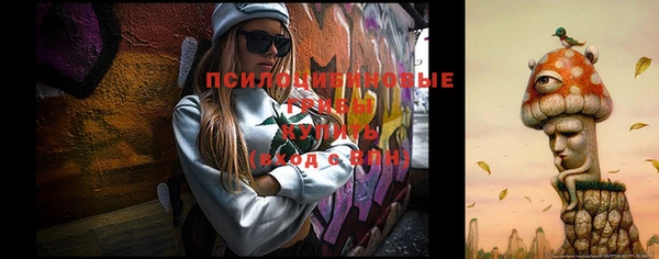 ПСИЛОЦИБИНОВЫЕ ГРИБЫ Володарск