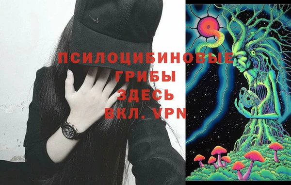 ПСИЛОЦИБИНОВЫЕ ГРИБЫ Володарск