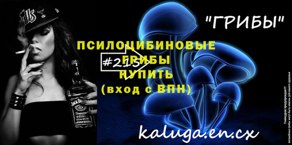 ПСИЛОЦИБИНОВЫЕ ГРИБЫ Володарск