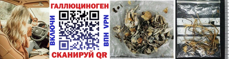 Псилоцибиновые грибы Cubensis  где продают   Казань 