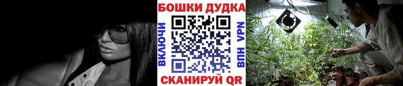 Каннабис план  kraken зеркало  Казань 